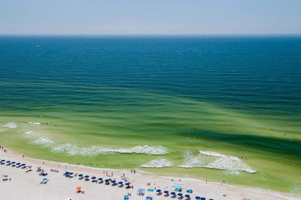 Sunset Spring Break Special ! Apartment Gulf Shores Ngoại thất bức ảnh